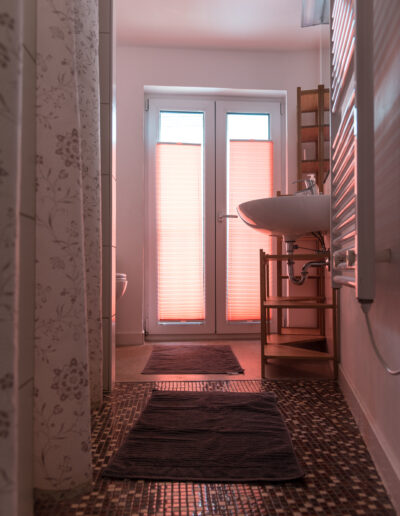 Bad mit Dusche, WC, Waschtisch